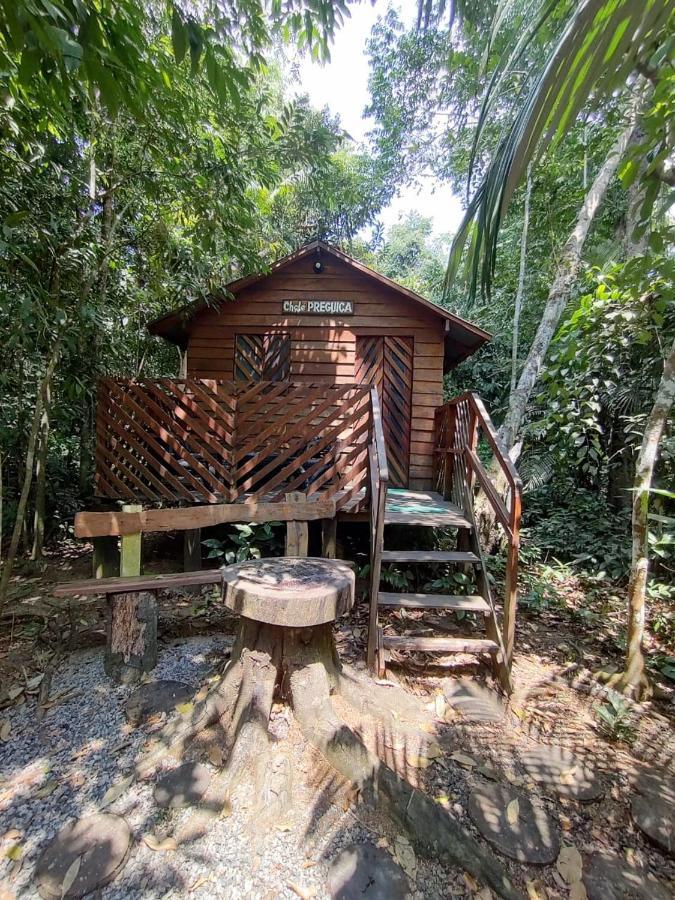 Refugio Samauma Hotel มาเนาส์ ภายนอก รูปภาพ