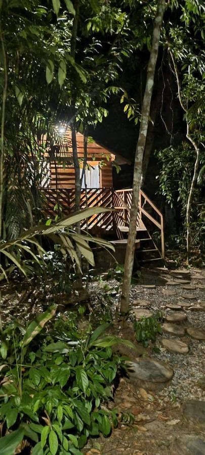 Refugio Samauma Hotel มาเนาส์ ภายนอก รูปภาพ