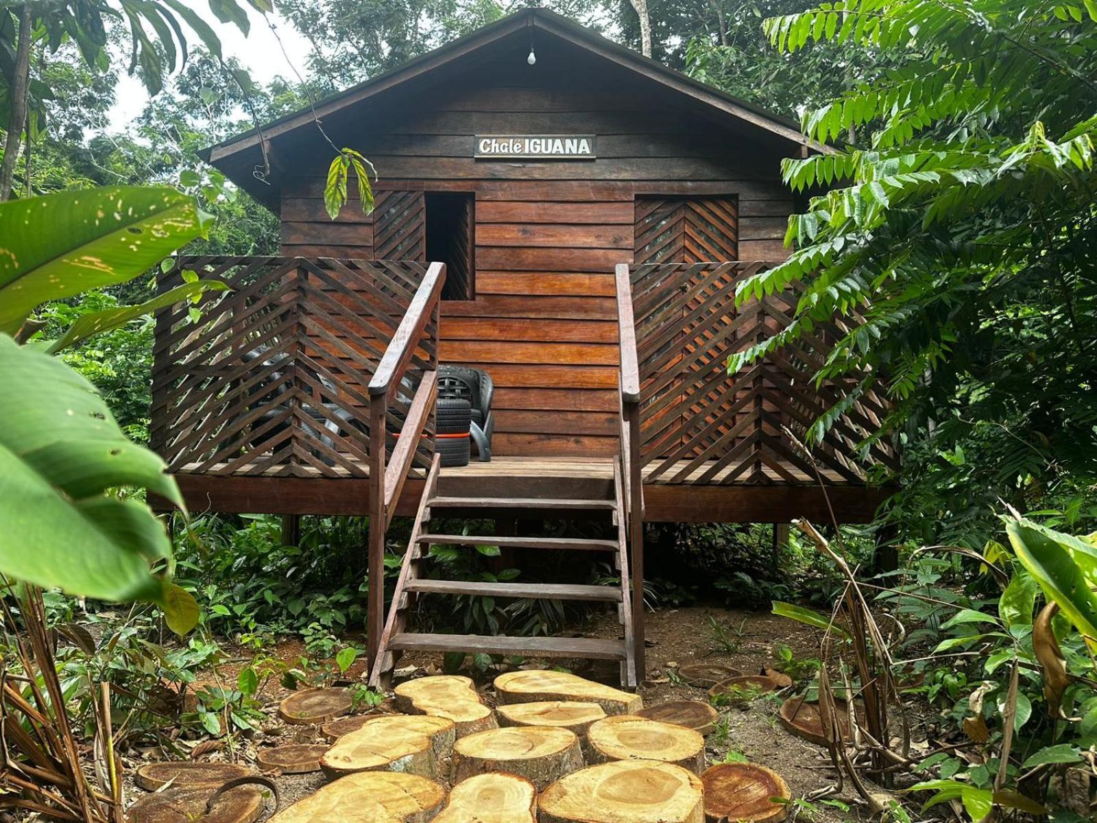 Refugio Samauma Hotel มาเนาส์ ภายนอก รูปภาพ
