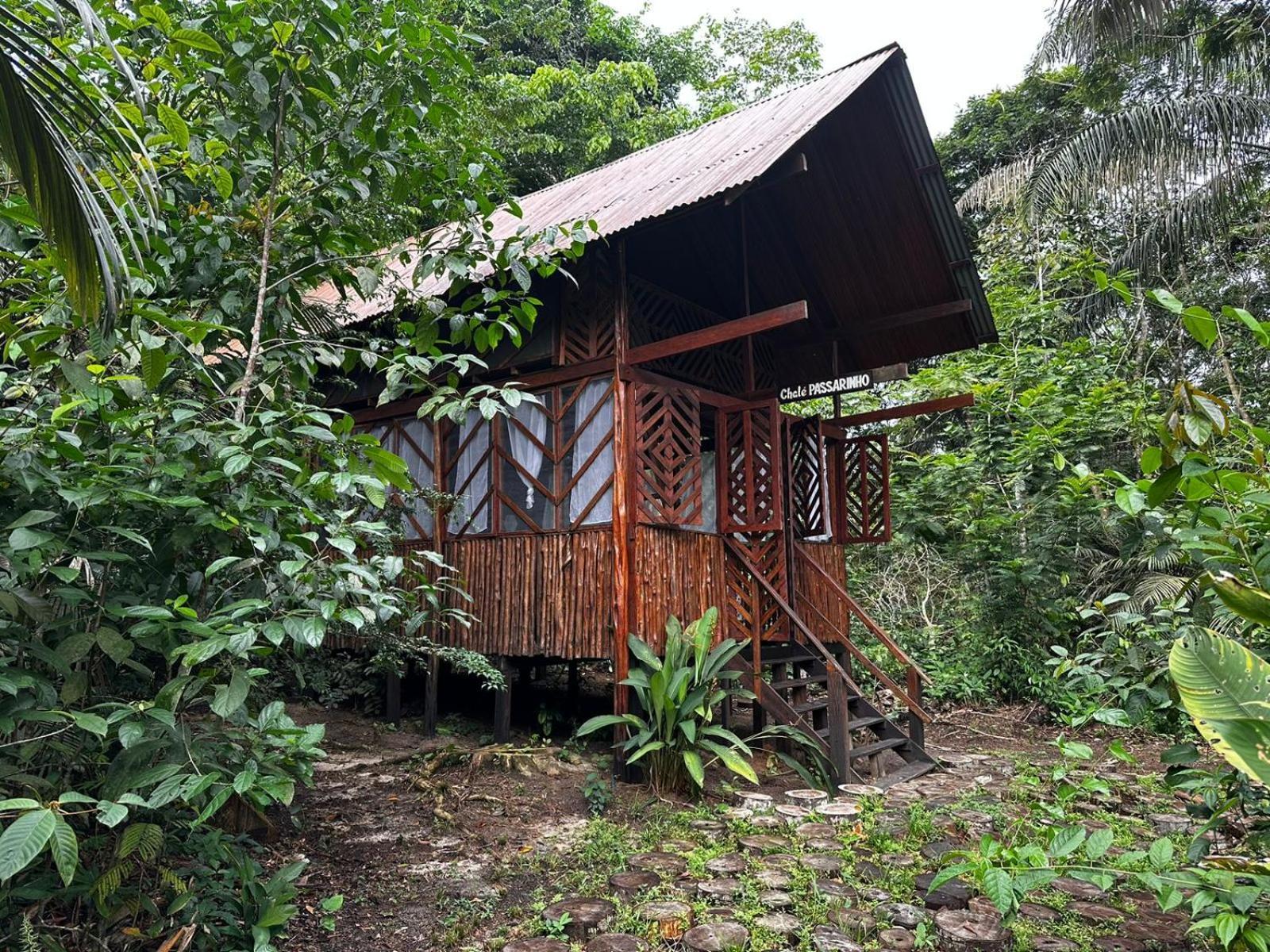 Refugio Samauma Hotel มาเนาส์ ภายนอก รูปภาพ