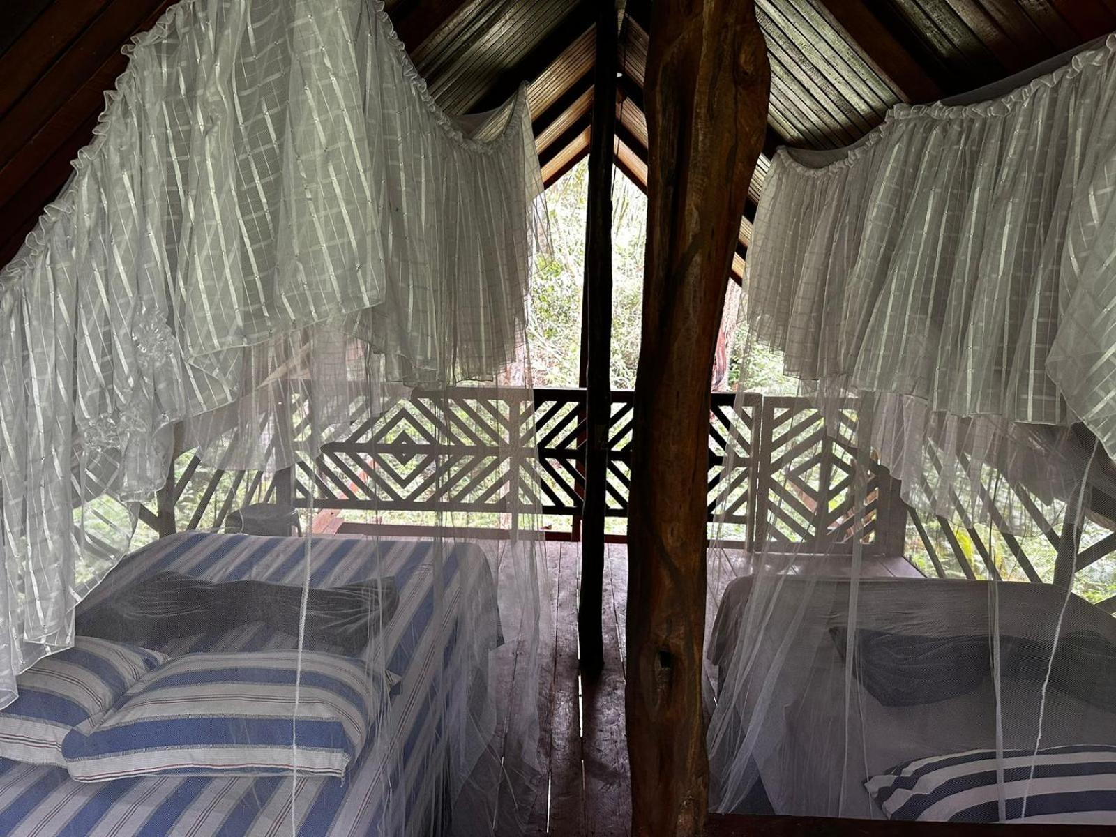 Refugio Samauma Hotel มาเนาส์ ภายนอก รูปภาพ