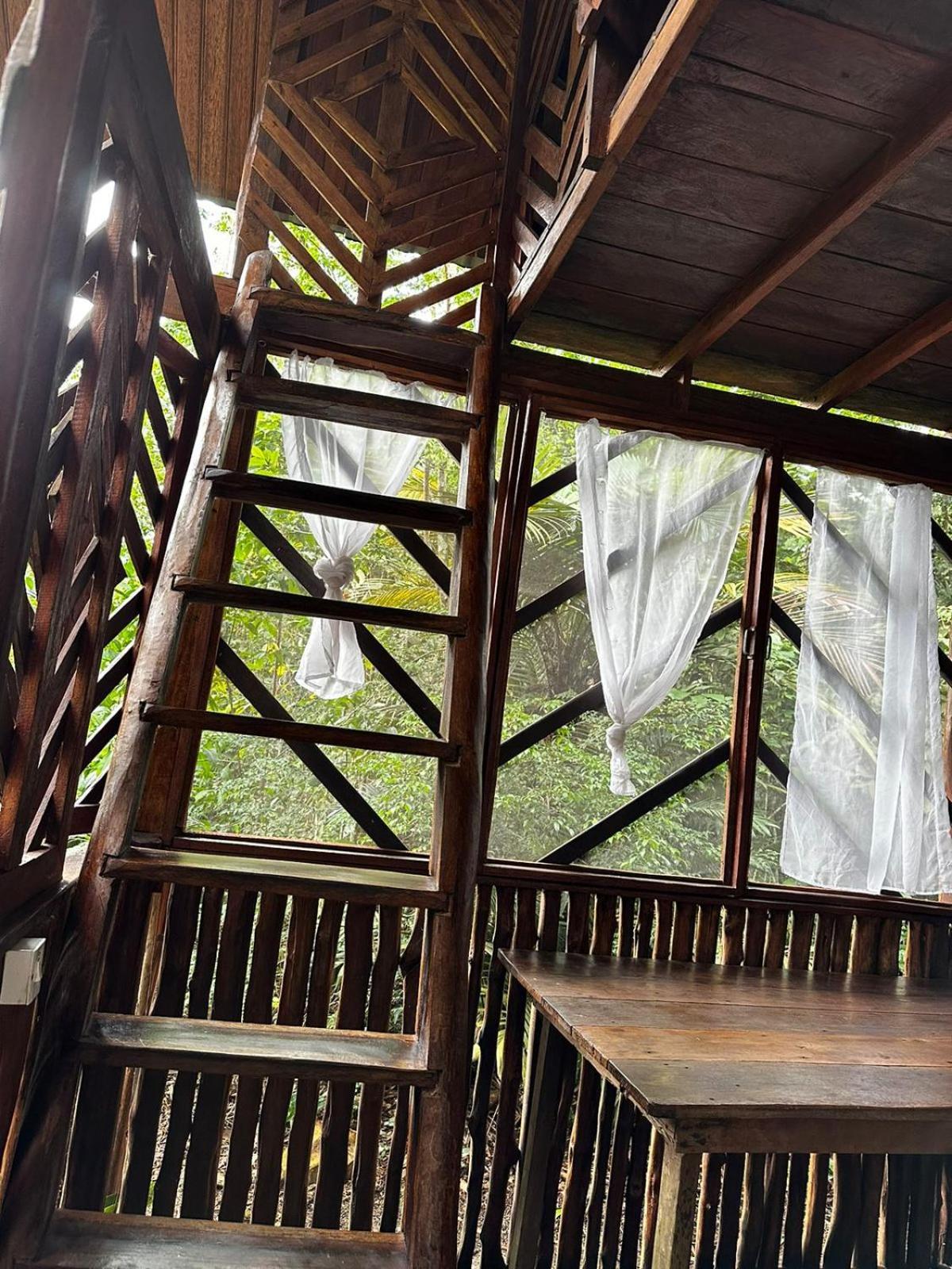 Refugio Samauma Hotel มาเนาส์ ภายนอก รูปภาพ